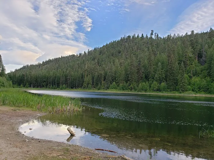 Buck Lake Campground Picture 4