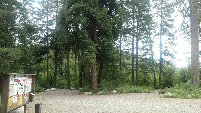 Buck Lake Campground Picture 9