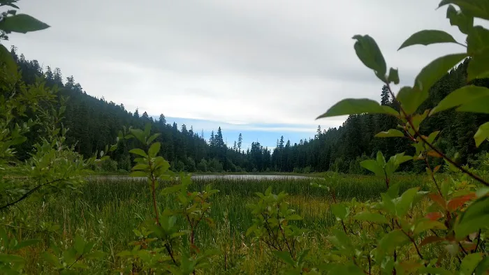 Buck Lake Campground Picture 7