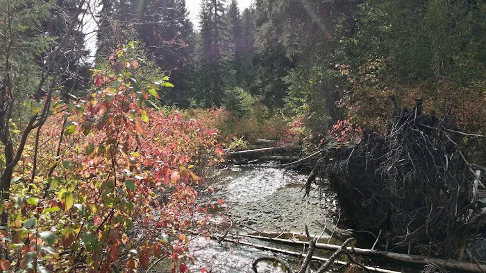 Flat Campground Picture 3