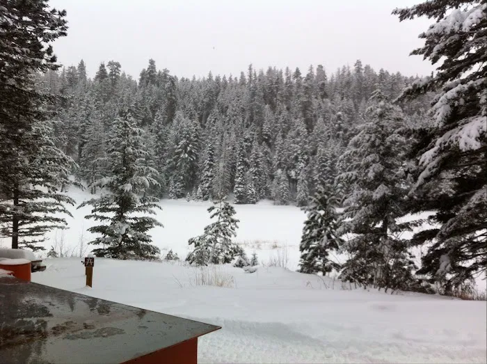 Blackpine Lake Campground Picture 9