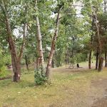 Winthrop / N. Cascades National Park KOA Holiday