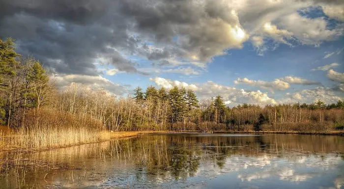 Amazon Park Picture 2