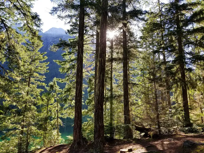 Boulder Creek Campground Picture 6