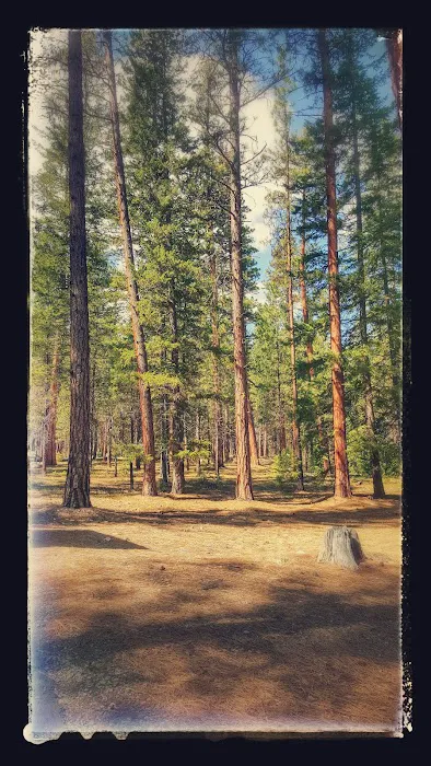 Cliffside Community Picture 2