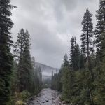 Butternut Landing Mobile Home Community