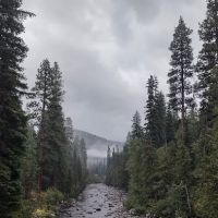 Butternut Landing Mobile Home Community ico