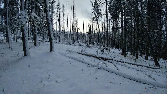 Tiffany Springs Campground Picture 7