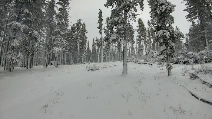 Tiffany Springs Campground Picture 6