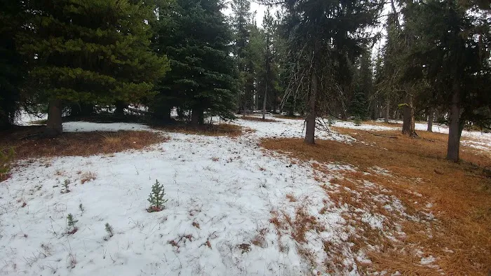 Tiffany Springs Campground Picture 1