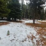 Tiffany Springs Campground