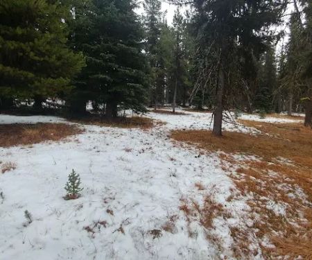 Tiffany Springs Campground