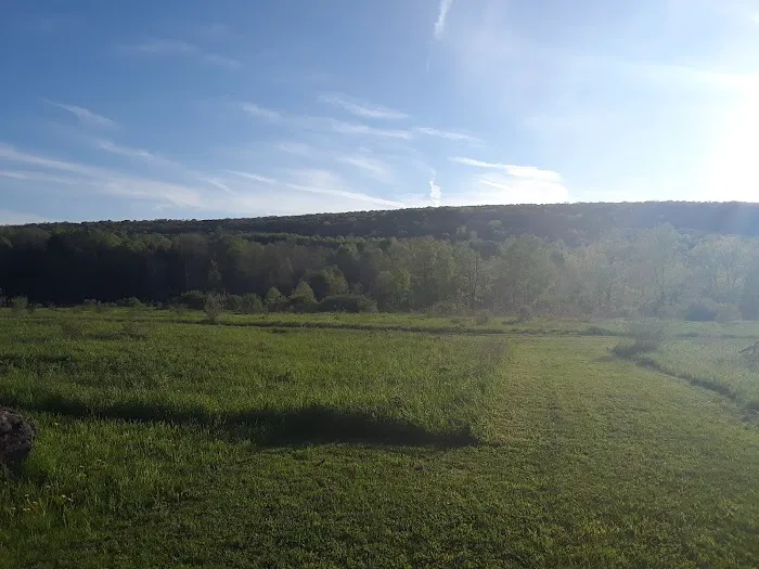 Perry Creek Campground Picture 16