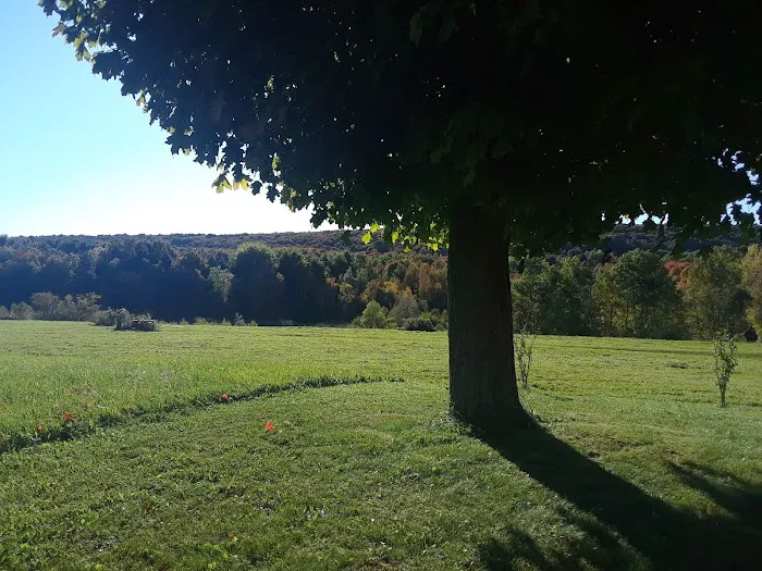 Perry Creek Campground Picture 20