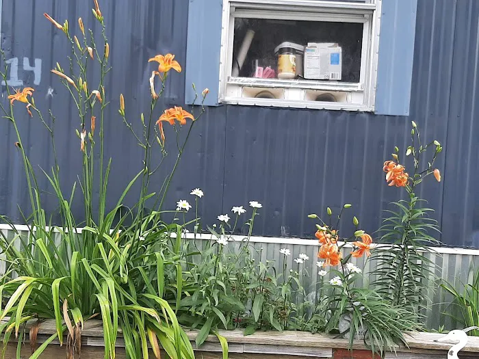 Blue Spruce Senior Mobile Home Park Picture 1