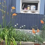 Blue Spruce Senior Mobile Home Park