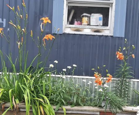 Blue Spruce Senior Mobile Home Park