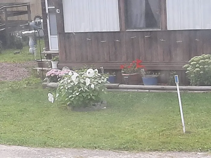 Blue Spruce Senior Mobile Home Park Picture 4