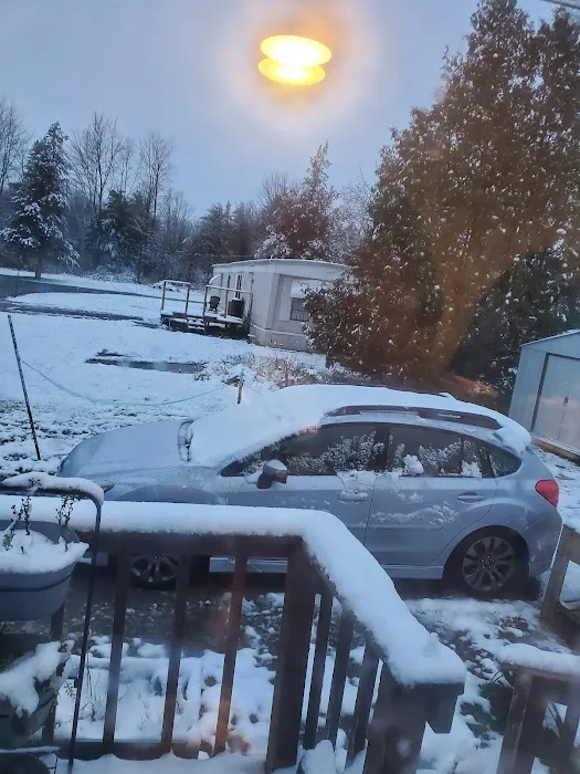 Blue Spruce Senior Mobile Home Park Picture 2