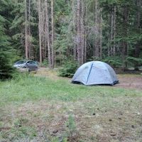 Summerhill Village ico