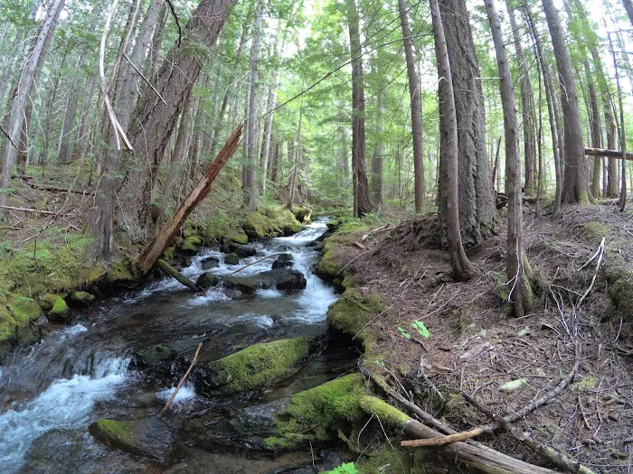 Summerhill Village Picture 8