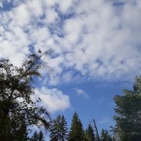 Timberlake Campground & RV ico