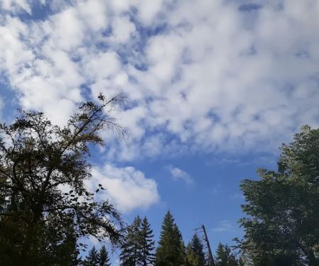 Timberlake Campground & RV