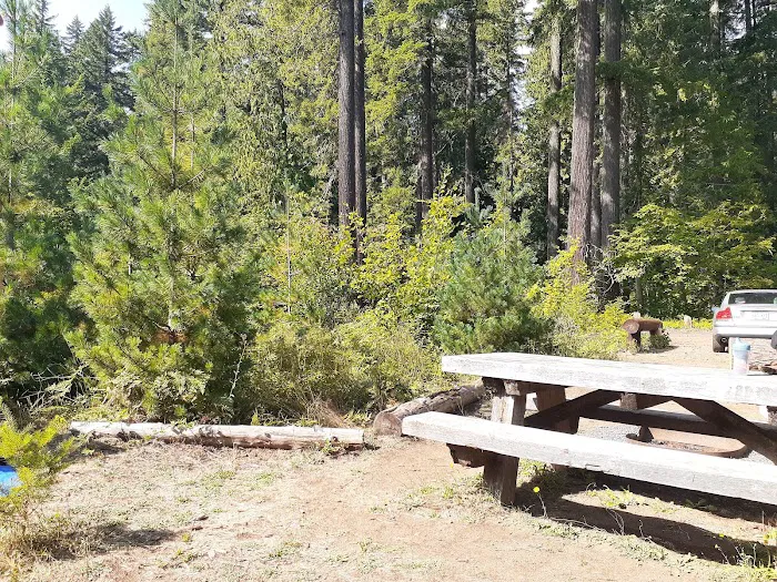 Timberlake Campground & RV Picture 2