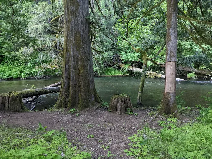 Timberlake Campground & RV Picture 10