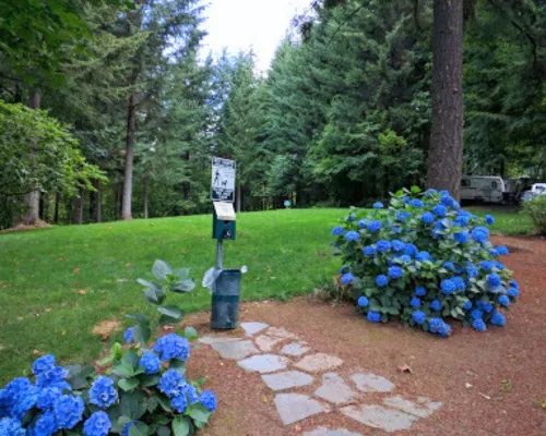 Timberlake Campground & RV Picture 17