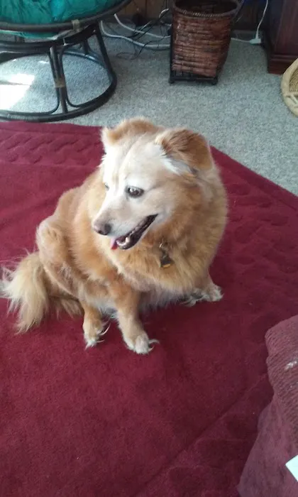 Floral Mobile Home Park Picture 2