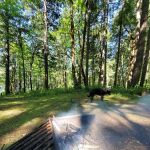 Schroon Lake RV Park