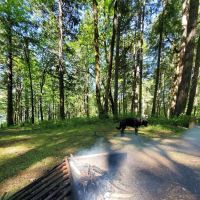 Schroon Lake RV Park ico