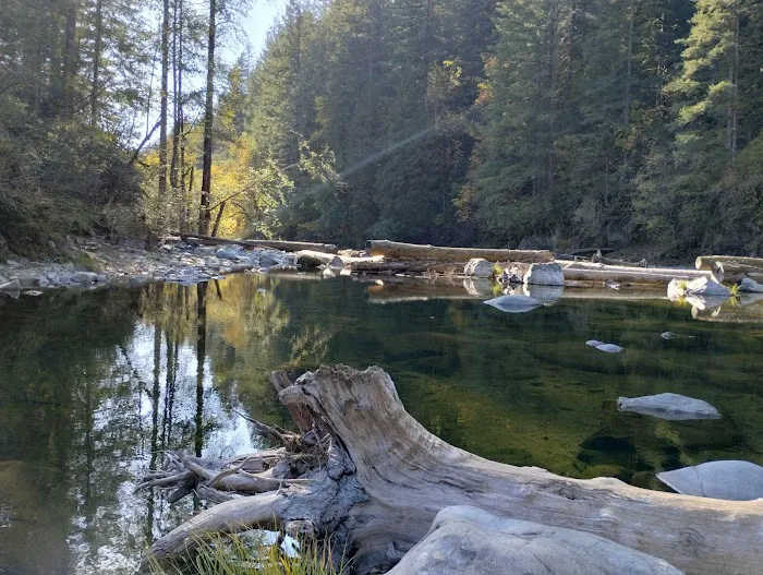 Dougan Creek Campground Picture 6