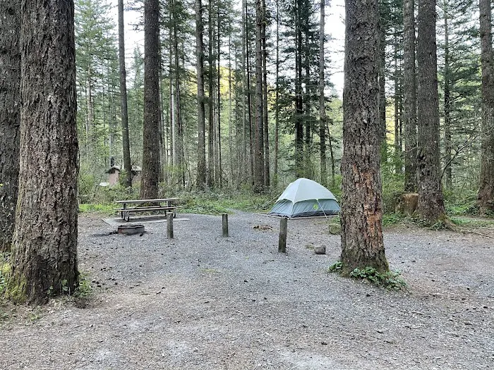 Dougan Creek Campground Picture 9