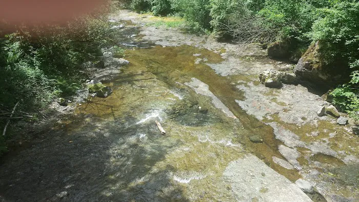 Dougan Creek Campground Picture 10
