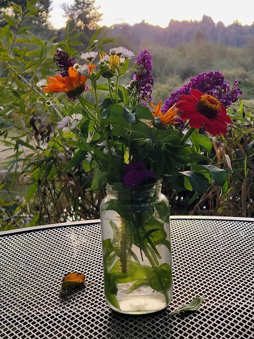 Orchard Mobile Homes Park Picture 1