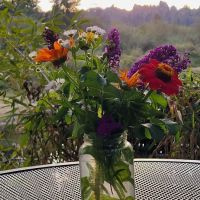 Orchard Mobile Homes Park ico