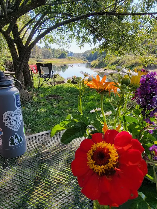 Orchard Mobile Homes Park Picture 2