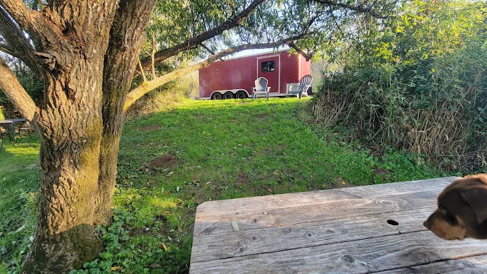 Orchard Mobile Homes Park Picture 5