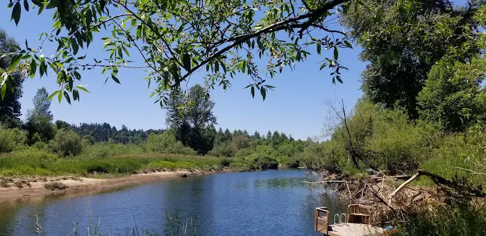 Orchard Mobile Homes Park Picture 10