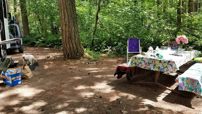 Big Fir Campground & RV Park Picture 1