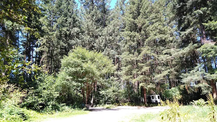 Big Fir Campground & RV Park Picture 4
