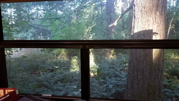 Big Fir Campground & RV Park Picture 5