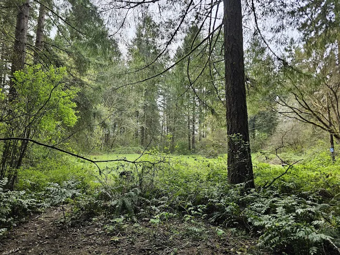 Big Fir Campground & RV Park Picture 6