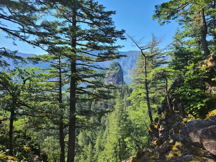 Beacon Rock Campground Picture 3