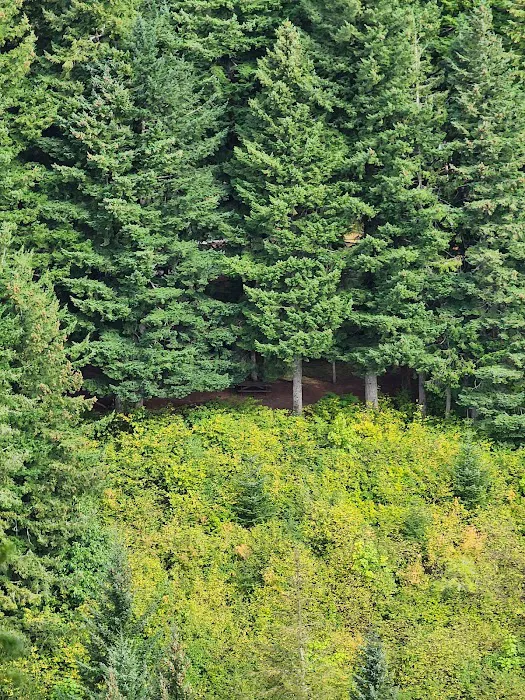 Beacon Rock Campground Picture 7