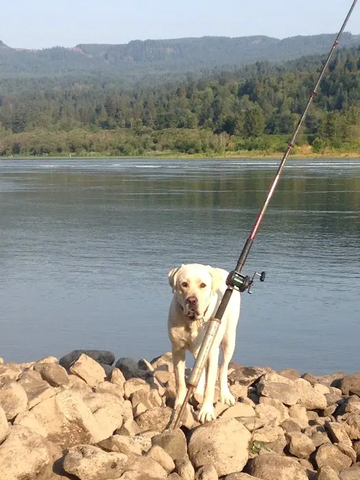 Fishery Inc Picture 3