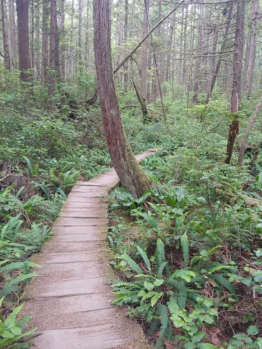 Sand Point Picture 4