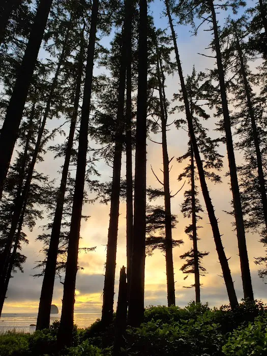 Sand Point Picture 2